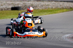 Schweiz: Rotax Racing 2026,  - Kartbahn Wohlen, Wohlen: