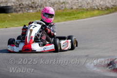 Schweiz: Rotax Racing 2026,  - Kartbahn Wohlen, Wohlen: