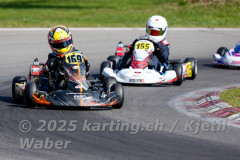 Schweiz: Rotax Racing 2026,  - Kartbahn Wohlen, Wohlen: