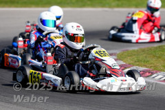 Schweiz: Rotax Racing 2026,  - Kartbahn Wohlen, Wohlen: