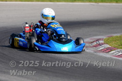 Schweiz: Rotax Racing 2026,  - Kartbahn Wohlen, Wohlen: