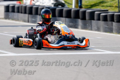 Schweiz: Rotax Racing 2026,  - Kartbahn Wohlen, Wohlen: