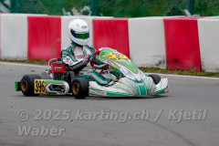 Schweiz: Rotax Racing 2026,  - Kartbahn Wohlen, Wohlen: