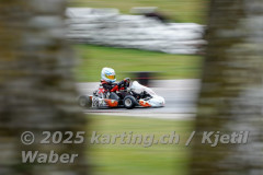 Schweiz: Rotax Racing 2026,  - Kartbahn Wohlen, Wohlen: