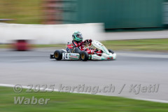 Schweiz: Rotax Racing 2026,  - Kartbahn Wohlen, Wohlen: