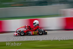 Schweiz: Rotax Racing 2026,  - Kartbahn Wohlen, Wohlen: