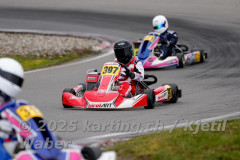 Schweiz: Rotax Racing 2026,  - Kartbahn Wohlen, Wohlen: