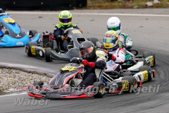 Schweiz: Rotax Racing 2026,  - Kartbahn Wohlen, Wohlen: